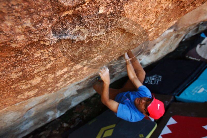Bouldering in Hueco Tanks on 11/02/2018 with Blue Lizard Climbing and Yoga

Filename: SRM_20181102_1400070.jpg
Aperture: f/4.0
Shutter Speed: 1/320
Body: Canon EOS-1D Mark II
Lens: Canon EF 16-35mm f/2.8 L