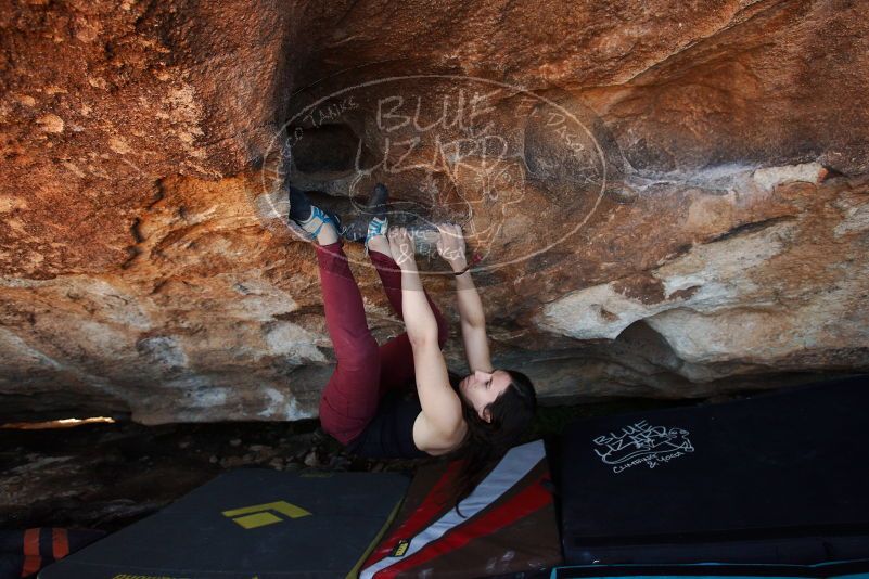 Bouldering in Hueco Tanks on 11/02/2018 with Blue Lizard Climbing and Yoga

Filename: SRM_20181102_1402070.jpg
Aperture: f/4.0
Shutter Speed: 1/320
Body: Canon EOS-1D Mark II
Lens: Canon EF 16-35mm f/2.8 L