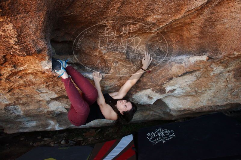 Bouldering in Hueco Tanks on 11/02/2018 with Blue Lizard Climbing and Yoga

Filename: SRM_20181102_1402100.jpg
Aperture: f/4.0
Shutter Speed: 1/320
Body: Canon EOS-1D Mark II
Lens: Canon EF 16-35mm f/2.8 L