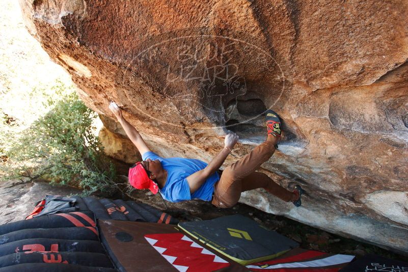 Bouldering in Hueco Tanks on 11/02/2018 with Blue Lizard Climbing and Yoga

Filename: SRM_20181102_1435580.jpg
Aperture: f/4.0
Shutter Speed: 1/320
Body: Canon EOS-1D Mark II
Lens: Canon EF 16-35mm f/2.8 L