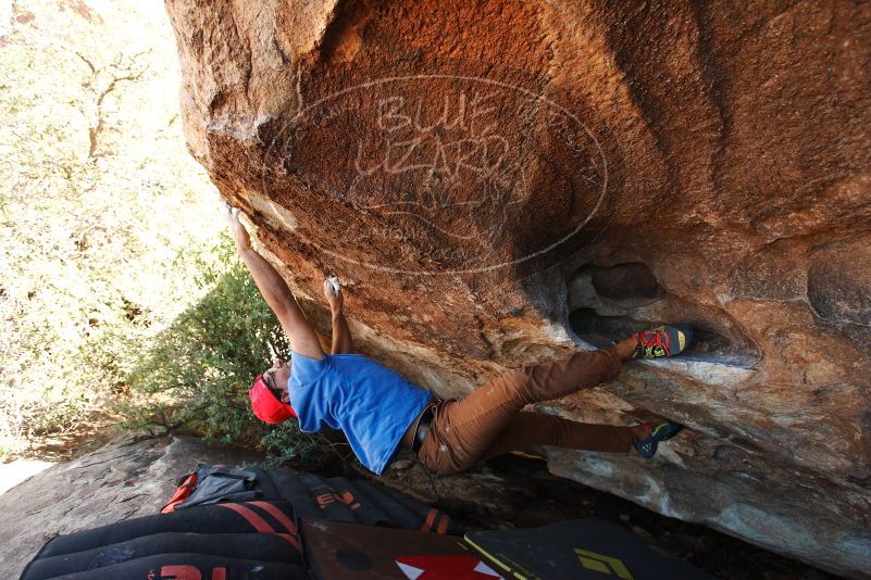 Bouldering in Hueco Tanks on 11/02/2018 with Blue Lizard Climbing and Yoga

Filename: SRM_20181102_1436080.jpg
Aperture: f/4.0
Shutter Speed: 1/500
Body: Canon EOS-1D Mark II
Lens: Canon EF 16-35mm f/2.8 L