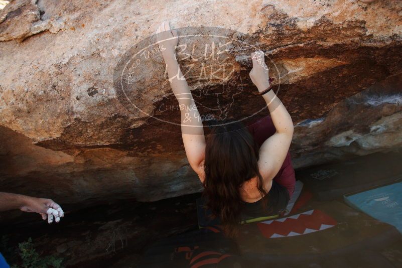 Bouldering in Hueco Tanks on 11/02/2018 with Blue Lizard Climbing and Yoga

Filename: SRM_20181102_1457570.jpg
Aperture: f/4.0
Shutter Speed: 1/500
Body: Canon EOS-1D Mark II
Lens: Canon EF 16-35mm f/2.8 L