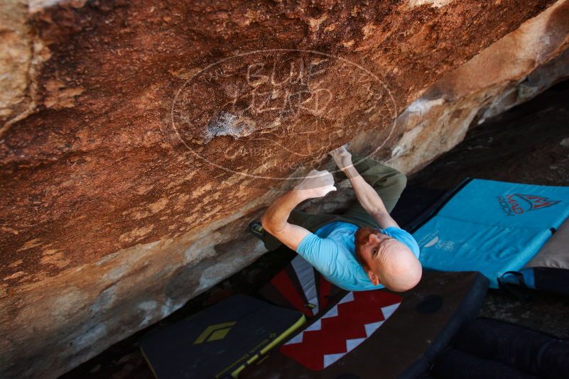 Bouldering in Hueco Tanks on 11/02/2018 with Blue Lizard Climbing and Yoga

Filename: SRM_20181102_1502020.jpg
Aperture: f/4.0
Shutter Speed: 1/320
Body: Canon EOS-1D Mark II
Lens: Canon EF 16-35mm f/2.8 L