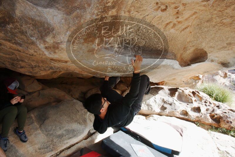 Bouldering in Hueco Tanks on 11/03/2018 with Blue Lizard Climbing and Yoga

Filename: SRM_20181103_0935460.jpg
Aperture: f/5.6
Shutter Speed: 1/500
Body: Canon EOS-1D Mark II
Lens: Canon EF 16-35mm f/2.8 L