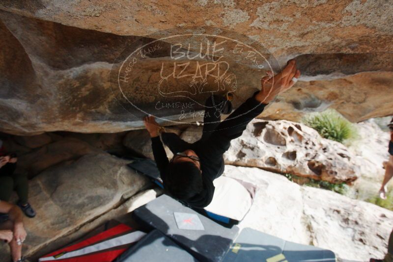 Bouldering in Hueco Tanks on 11/03/2018 with Blue Lizard Climbing and Yoga

Filename: SRM_20181103_0936010.jpg
Aperture: f/5.6
Shutter Speed: 1/640
Body: Canon EOS-1D Mark II
Lens: Canon EF 16-35mm f/2.8 L