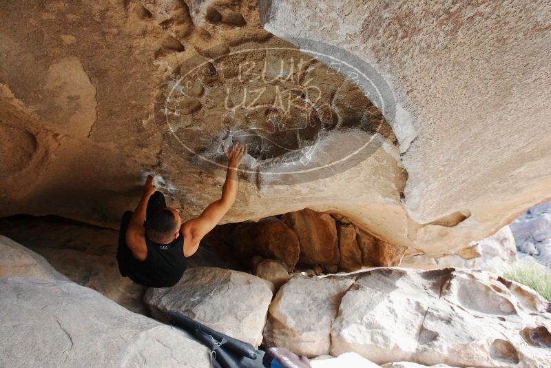 Bouldering in Hueco Tanks on 11/03/2018 with Blue Lizard Climbing and Yoga

Filename: SRM_20181103_0943020.jpg
Aperture: f/5.6
Shutter Speed: 1/200
Body: Canon EOS-1D Mark II
Lens: Canon EF 16-35mm f/2.8 L