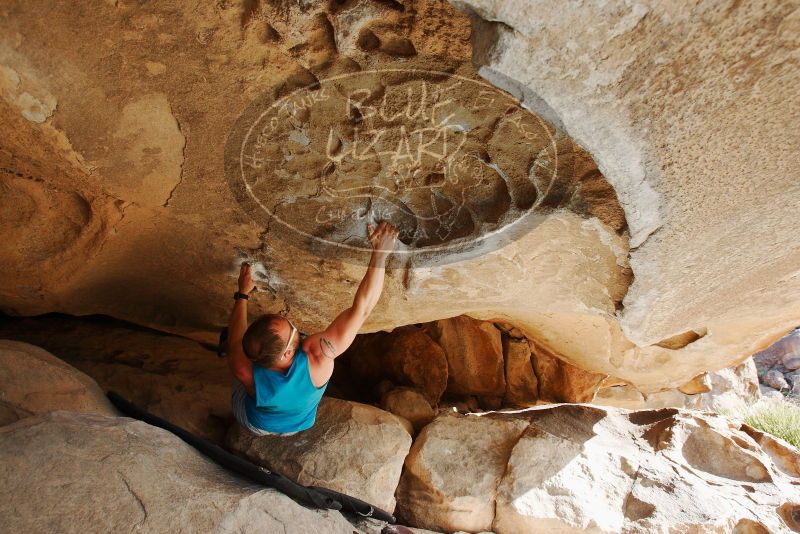 Bouldering in Hueco Tanks on 11/03/2018 with Blue Lizard Climbing and Yoga

Filename: SRM_20181103_0949010.jpg
Aperture: f/5.6
Shutter Speed: 1/500
Body: Canon EOS-1D Mark II
Lens: Canon EF 16-35mm f/2.8 L