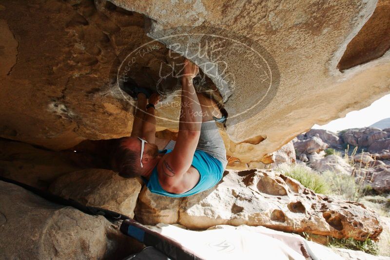 Bouldering in Hueco Tanks on 11/03/2018 with Blue Lizard Climbing and Yoga

Filename: SRM_20181103_0949200.jpg
Aperture: f/5.6
Shutter Speed: 1/1000
Body: Canon EOS-1D Mark II
Lens: Canon EF 16-35mm f/2.8 L