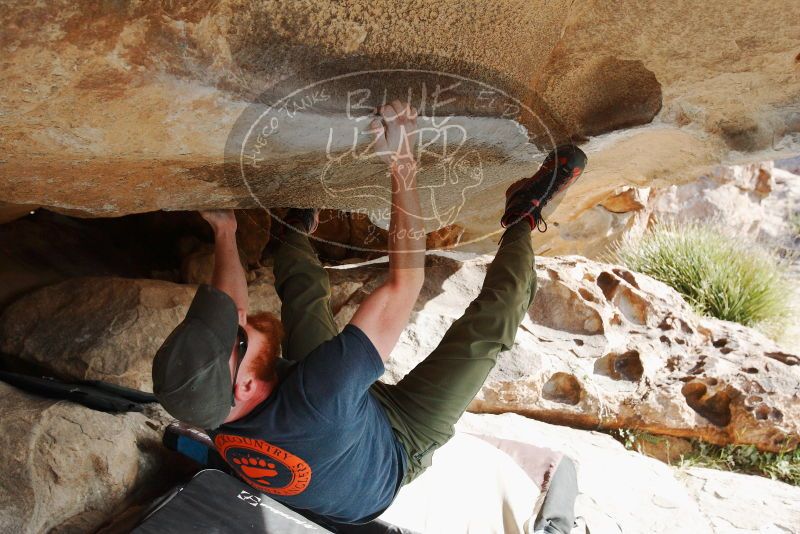 Bouldering in Hueco Tanks on 11/03/2018 with Blue Lizard Climbing and Yoga

Filename: SRM_20181103_0954590.jpg
Aperture: f/5.6
Shutter Speed: 1/640
Body: Canon EOS-1D Mark II
Lens: Canon EF 16-35mm f/2.8 L