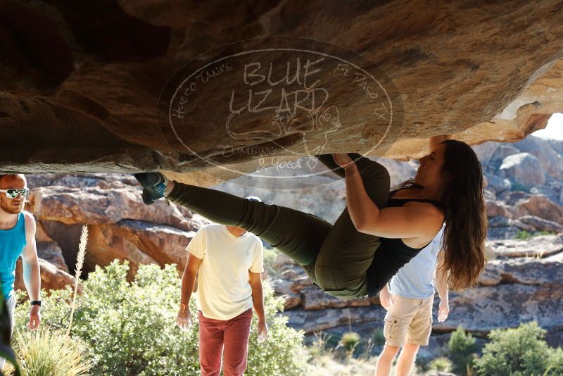Bouldering in Hueco Tanks on 11/03/2018 with Blue Lizard Climbing and Yoga

Filename: SRM_20181103_1010253.jpg
Aperture: f/5.6
Shutter Speed: 1/320
Body: Canon EOS-1D Mark II
Lens: Canon EF 50mm f/1.8 II