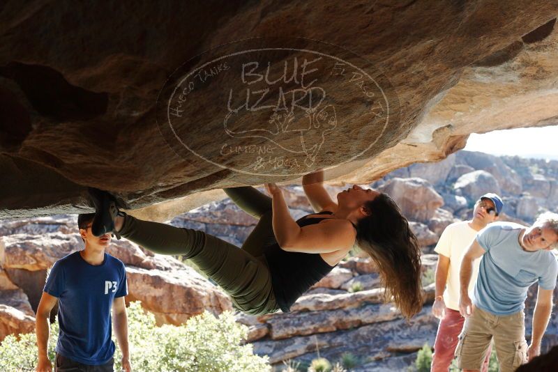 Bouldering in Hueco Tanks on 11/03/2018 with Blue Lizard Climbing and Yoga

Filename: SRM_20181103_1030580.jpg
Aperture: f/5.6
Shutter Speed: 1/500
Body: Canon EOS-1D Mark II
Lens: Canon EF 50mm f/1.8 II
