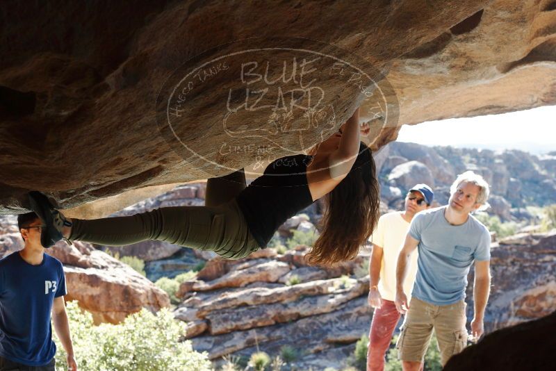 Bouldering in Hueco Tanks on 11/03/2018 with Blue Lizard Climbing and Yoga

Filename: SRM_20181103_1031030.jpg
Aperture: f/5.6
Shutter Speed: 1/500
Body: Canon EOS-1D Mark II
Lens: Canon EF 50mm f/1.8 II