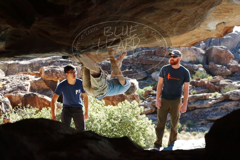 Bouldering in Hueco Tanks on 11/03/2018 with Blue Lizard Climbing and Yoga

Filename: SRM_20181103_1034240.jpg
Aperture: f/5.6
Shutter Speed: 1/800
Body: Canon EOS-1D Mark II
Lens: Canon EF 50mm f/1.8 II