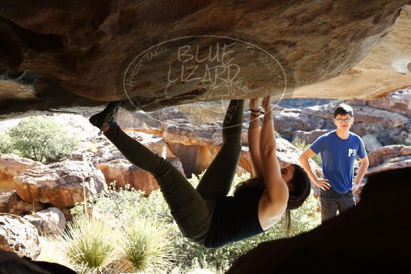 Bouldering in Hueco Tanks on 11/03/2018 with Blue Lizard Climbing and Yoga

Filename: SRM_20181103_1037560.jpg
Aperture: f/5.6
Shutter Speed: 1/500
Body: Canon EOS-1D Mark II
Lens: Canon EF 50mm f/1.8 II