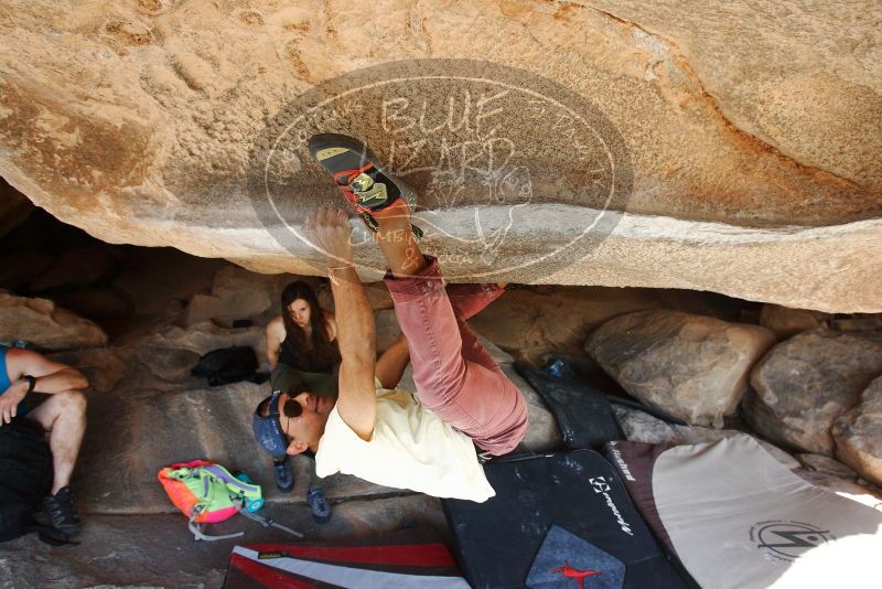 Bouldering in Hueco Tanks on 11/03/2018 with Blue Lizard Climbing and Yoga

Filename: SRM_20181103_1046320.jpg
Aperture: f/5.6
Shutter Speed: 1/400
Body: Canon EOS-1D Mark II
Lens: Canon EF 16-35mm f/2.8 L