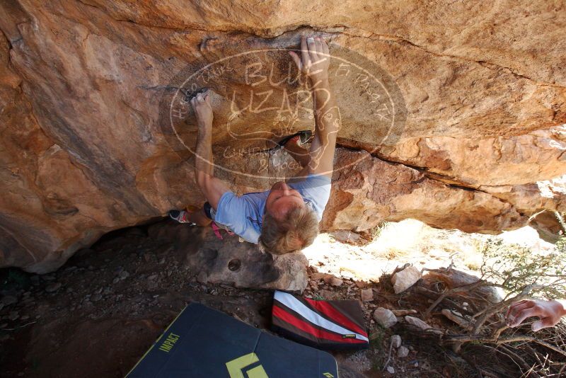 Bouldering in Hueco Tanks on 11/03/2018 with Blue Lizard Climbing and Yoga

Filename: SRM_20181103_1134020.jpg
Aperture: f/5.6
Shutter Speed: 1/320
Body: Canon EOS-1D Mark II
Lens: Canon EF 16-35mm f/2.8 L