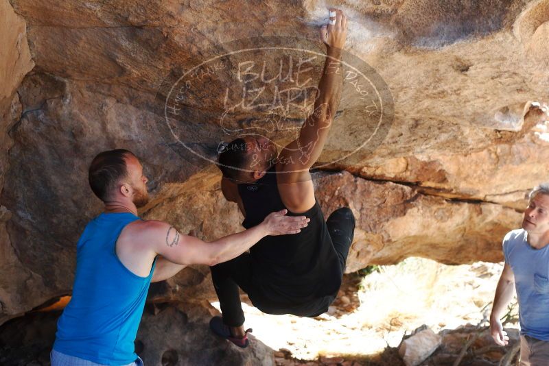 Bouldering in Hueco Tanks on 11/03/2018 with Blue Lizard Climbing and Yoga

Filename: SRM_20181103_1159530.jpg
Aperture: f/4.0
Shutter Speed: 1/400
Body: Canon EOS-1D Mark II
Lens: Canon EF 50mm f/1.8 II