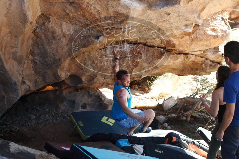 Bouldering in Hueco Tanks on 11/03/2018 with Blue Lizard Climbing and Yoga

Filename: SRM_20181103_1201583.jpg
Aperture: f/4.0
Shutter Speed: 1/500
Body: Canon EOS-1D Mark II
Lens: Canon EF 50mm f/1.8 II