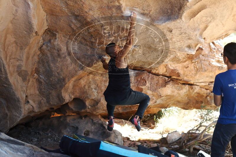 Bouldering in Hueco Tanks on 11/03/2018 with Blue Lizard Climbing and Yoga

Filename: SRM_20181103_1202273.jpg
Aperture: f/4.0
Shutter Speed: 1/400
Body: Canon EOS-1D Mark II
Lens: Canon EF 50mm f/1.8 II