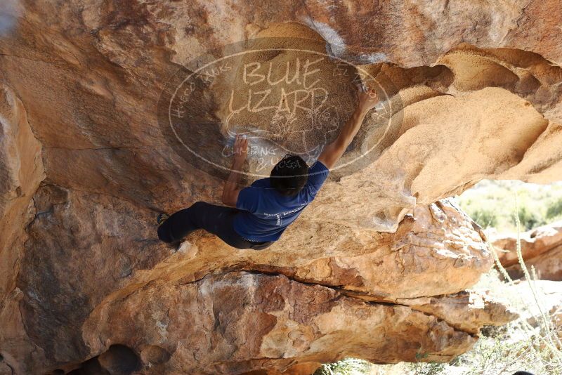 Bouldering in Hueco Tanks on 11/03/2018 with Blue Lizard Climbing and Yoga

Filename: SRM_20181103_1203360.jpg
Aperture: f/4.0
Shutter Speed: 1/500
Body: Canon EOS-1D Mark II
Lens: Canon EF 50mm f/1.8 II