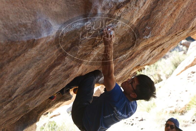 Bouldering in Hueco Tanks on 11/03/2018 with Blue Lizard Climbing and Yoga

Filename: SRM_20181103_1203522.jpg
Aperture: f/4.0
Shutter Speed: 1/640
Body: Canon EOS-1D Mark II
Lens: Canon EF 50mm f/1.8 II