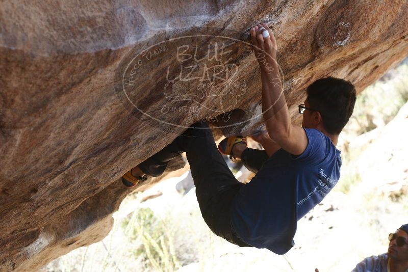 Bouldering in Hueco Tanks on 11/03/2018 with Blue Lizard Climbing and Yoga

Filename: SRM_20181103_1203570.jpg
Aperture: f/4.0
Shutter Speed: 1/640
Body: Canon EOS-1D Mark II
Lens: Canon EF 50mm f/1.8 II