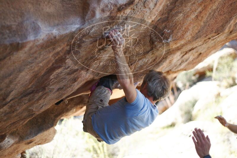 Bouldering in Hueco Tanks on 11/03/2018 with Blue Lizard Climbing and Yoga

Filename: SRM_20181103_1212570.jpg
Aperture: f/2.0
Shutter Speed: 1/2500
Body: Canon EOS-1D Mark II
Lens: Canon EF 50mm f/1.8 II