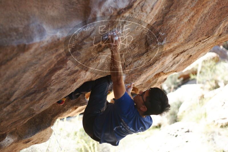 Bouldering in Hueco Tanks on 11/03/2018 with Blue Lizard Climbing and Yoga

Filename: SRM_20181103_1213411.jpg
Aperture: f/2.0
Shutter Speed: 1/2500
Body: Canon EOS-1D Mark II
Lens: Canon EF 50mm f/1.8 II