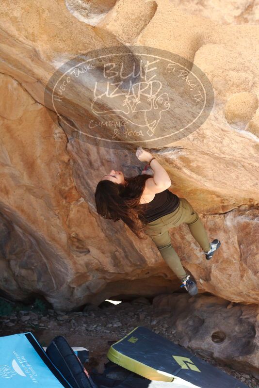Bouldering in Hueco Tanks on 11/03/2018 with Blue Lizard Climbing and Yoga

Filename: SRM_20181103_1221050.jpg
Aperture: f/4.0
Shutter Speed: 1/400
Body: Canon EOS-1D Mark II
Lens: Canon EF 50mm f/1.8 II