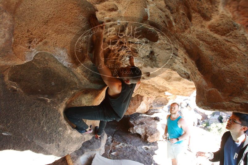 Bouldering in Hueco Tanks on 11/03/2018 with Blue Lizard Climbing and Yoga

Filename: SRM_20181103_1429210.jpg
Aperture: f/5.6
Shutter Speed: 1/250
Body: Canon EOS-1D Mark II
Lens: Canon EF 16-35mm f/2.8 L