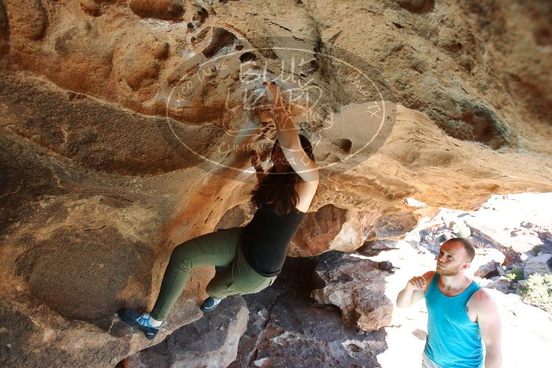 Bouldering in Hueco Tanks on 11/03/2018 with Blue Lizard Climbing and Yoga

Filename: SRM_20181103_1430350.jpg
Aperture: f/5.6
Shutter Speed: 1/320
Body: Canon EOS-1D Mark II
Lens: Canon EF 16-35mm f/2.8 L