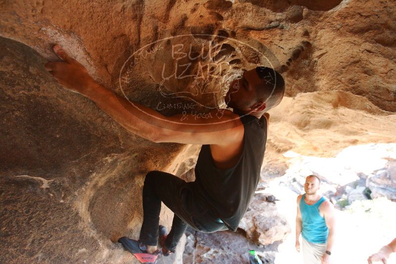 Bouldering in Hueco Tanks on 11/03/2018 with Blue Lizard Climbing and Yoga

Filename: SRM_20181103_1459200.jpg
Aperture: f/4.0
Shutter Speed: 1/320
Body: Canon EOS-1D Mark II
Lens: Canon EF 16-35mm f/2.8 L