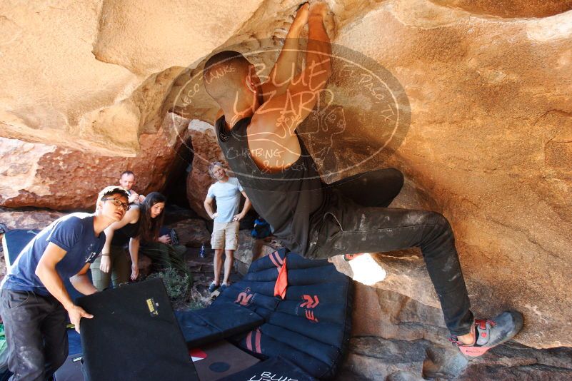 Bouldering in Hueco Tanks on 11/03/2018 with Blue Lizard Climbing and Yoga

Filename: SRM_20181103_1510540.jpg
Aperture: f/4.0
Shutter Speed: 1/320
Body: Canon EOS-1D Mark II
Lens: Canon EF 16-35mm f/2.8 L