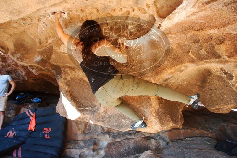 Bouldering in Hueco Tanks on 11/03/2018 with Blue Lizard Climbing and Yoga

Filename: SRM_20181103_1512320.jpg
Aperture: f/4.0
Shutter Speed: 1/320
Body: Canon EOS-1D Mark II
Lens: Canon EF 16-35mm f/2.8 L