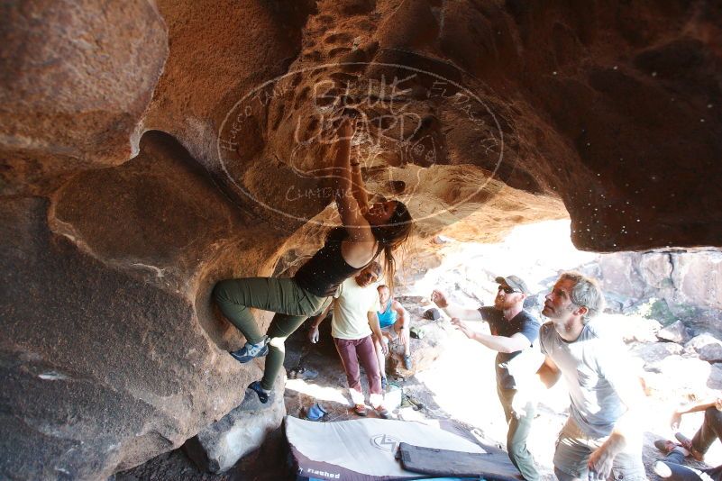 Bouldering in Hueco Tanks on 11/03/2018 with Blue Lizard Climbing and Yoga

Filename: SRM_20181103_1536480.jpg
Aperture: f/4.0
Shutter Speed: 1/400
Body: Canon EOS-1D Mark II
Lens: Canon EF 16-35mm f/2.8 L