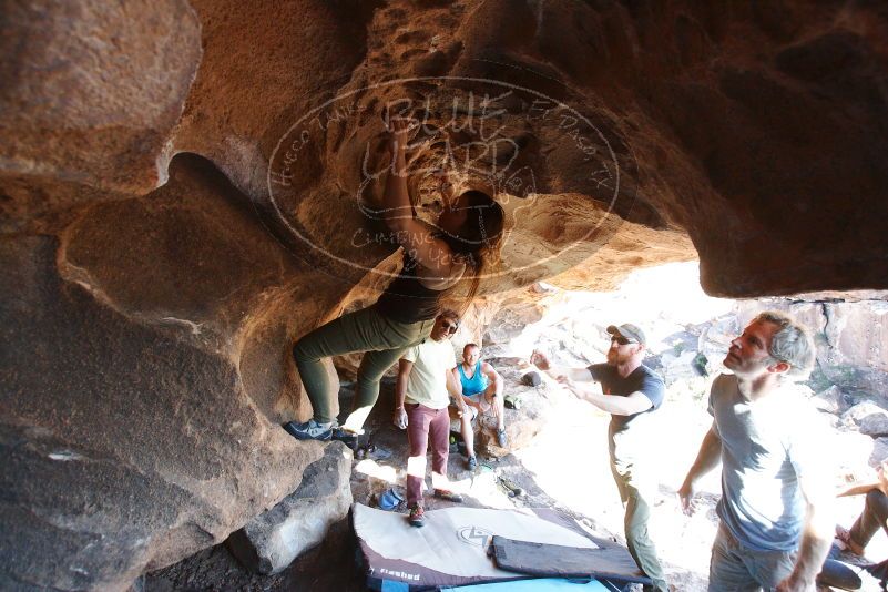Bouldering in Hueco Tanks on 11/03/2018 with Blue Lizard Climbing and Yoga

Filename: SRM_20181103_1536520.jpg
Aperture: f/4.0
Shutter Speed: 1/400
Body: Canon EOS-1D Mark II
Lens: Canon EF 16-35mm f/2.8 L