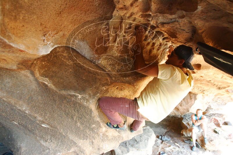 Bouldering in Hueco Tanks on 11/03/2018 with Blue Lizard Climbing and Yoga

Filename: SRM_20181103_1544390.jpg
Aperture: f/2.8
Shutter Speed: 1/200
Body: Canon EOS-1D Mark II
Lens: Canon EF 16-35mm f/2.8 L