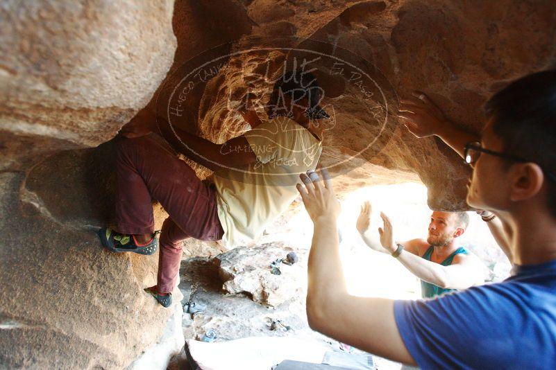 Bouldering in Hueco Tanks on 11/03/2018 with Blue Lizard Climbing and Yoga

Filename: SRM_20181103_1603260.jpg
Aperture: f/2.8
Shutter Speed: 1/250
Body: Canon EOS-1D Mark II
Lens: Canon EF 16-35mm f/2.8 L