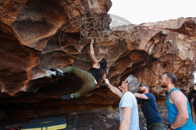 Bouldering in Hueco Tanks on 11/03/2018 with Blue Lizard Climbing and Yoga

Filename: SRM_20181103_1637280.jpg
Aperture: f/4.0
Shutter Speed: 1/400
Body: Canon EOS-1D Mark II
Lens: Canon EF 16-35mm f/2.8 L