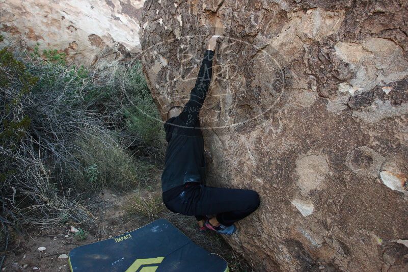 Bouldering in Hueco Tanks on 11/04/2018 with Blue Lizard Climbing and Yoga

Filename: SRM_20181104_0959241.jpg
Aperture: f/5.0
Shutter Speed: 1/250
Body: Canon EOS-1D Mark II
Lens: Canon EF 16-35mm f/2.8 L