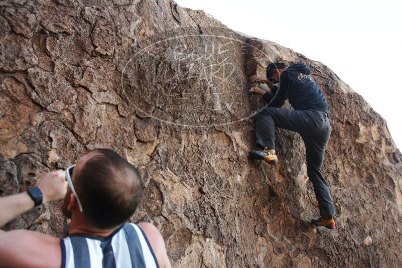 Bouldering in Hueco Tanks on 11/04/2018 with Blue Lizard Climbing and Yoga

Filename: SRM_20181104_1001440.jpg
Aperture: f/5.0
Shutter Speed: 1/320
Body: Canon EOS-1D Mark II
Lens: Canon EF 16-35mm f/2.8 L