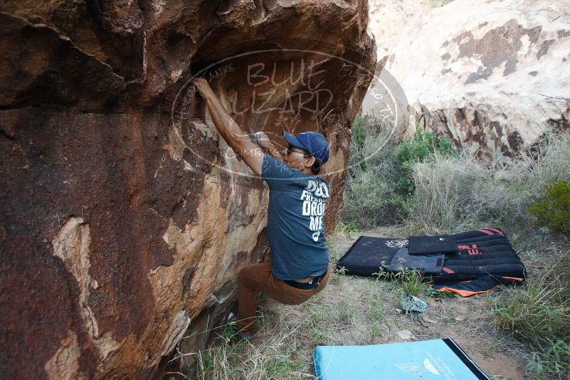 Bouldering in Hueco Tanks on 11/04/2018 with Blue Lizard Climbing and Yoga

Filename: SRM_20181104_1004020.jpg
Aperture: f/5.0
Shutter Speed: 1/200
Body: Canon EOS-1D Mark II
Lens: Canon EF 16-35mm f/2.8 L