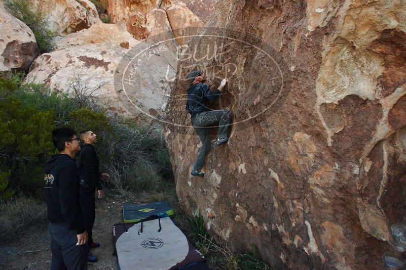 Bouldering in Hueco Tanks on 11/04/2018 with Blue Lizard Climbing and Yoga

Filename: SRM_20181104_1009090.jpg
Aperture: f/5.6
Shutter Speed: 1/250
Body: Canon EOS-1D Mark II
Lens: Canon EF 16-35mm f/2.8 L