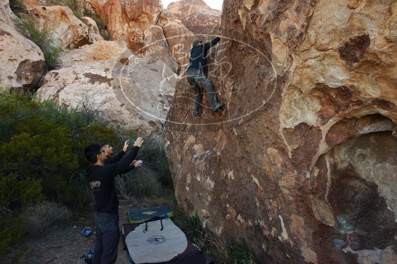 Bouldering in Hueco Tanks on 11/04/2018 with Blue Lizard Climbing and Yoga

Filename: SRM_20181104_1009370.jpg
Aperture: f/5.6
Shutter Speed: 1/320
Body: Canon EOS-1D Mark II
Lens: Canon EF 16-35mm f/2.8 L
