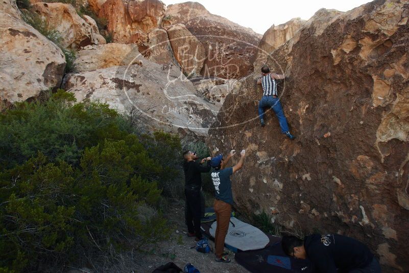 Bouldering in Hueco Tanks on 11/04/2018 with Blue Lizard Climbing and Yoga

Filename: SRM_20181104_1012300.jpg
Aperture: f/5.6
Shutter Speed: 1/400
Body: Canon EOS-1D Mark II
Lens: Canon EF 16-35mm f/2.8 L