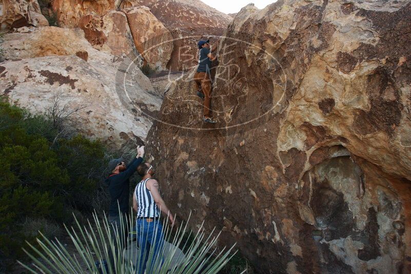 Bouldering in Hueco Tanks on 11/04/2018 with Blue Lizard Climbing and Yoga

Filename: SRM_20181104_1014330.jpg
Aperture: f/5.6
Shutter Speed: 1/400
Body: Canon EOS-1D Mark II
Lens: Canon EF 16-35mm f/2.8 L