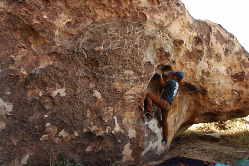 Bouldering in Hueco Tanks on 11/04/2018 with Blue Lizard Climbing and Yoga

Filename: SRM_20181104_1029020.jpg
Aperture: f/5.0
Shutter Speed: 1/320
Body: Canon EOS-1D Mark II
Lens: Canon EF 16-35mm f/2.8 L