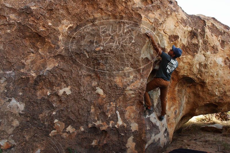Bouldering in Hueco Tanks on 11/04/2018 with Blue Lizard Climbing and Yoga

Filename: SRM_20181104_1029060.jpg
Aperture: f/5.0
Shutter Speed: 1/320
Body: Canon EOS-1D Mark II
Lens: Canon EF 16-35mm f/2.8 L