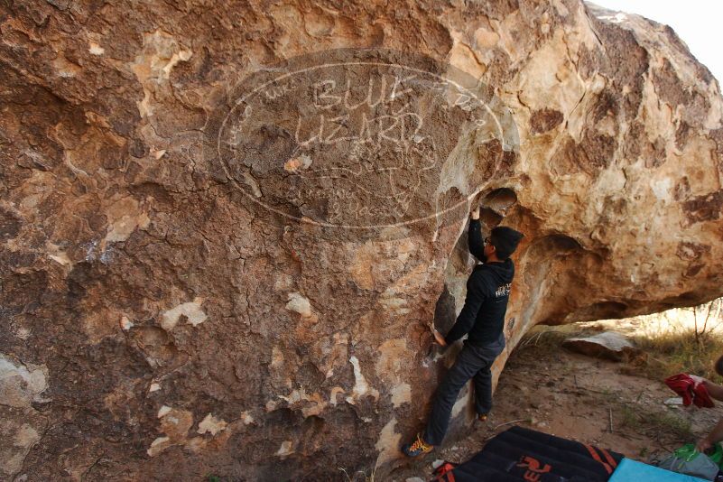 Bouldering in Hueco Tanks on 11/04/2018 with Blue Lizard Climbing and Yoga

Filename: SRM_20181104_1032120.jpg
Aperture: f/5.0
Shutter Speed: 1/250
Body: Canon EOS-1D Mark II
Lens: Canon EF 16-35mm f/2.8 L