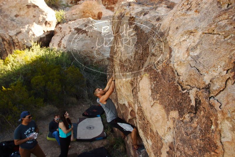 Bouldering in Hueco Tanks on 11/04/2018 with Blue Lizard Climbing and Yoga

Filename: SRM_20181104_1041500.jpg
Aperture: f/5.6
Shutter Speed: 1/400
Body: Canon EOS-1D Mark II
Lens: Canon EF 16-35mm f/2.8 L